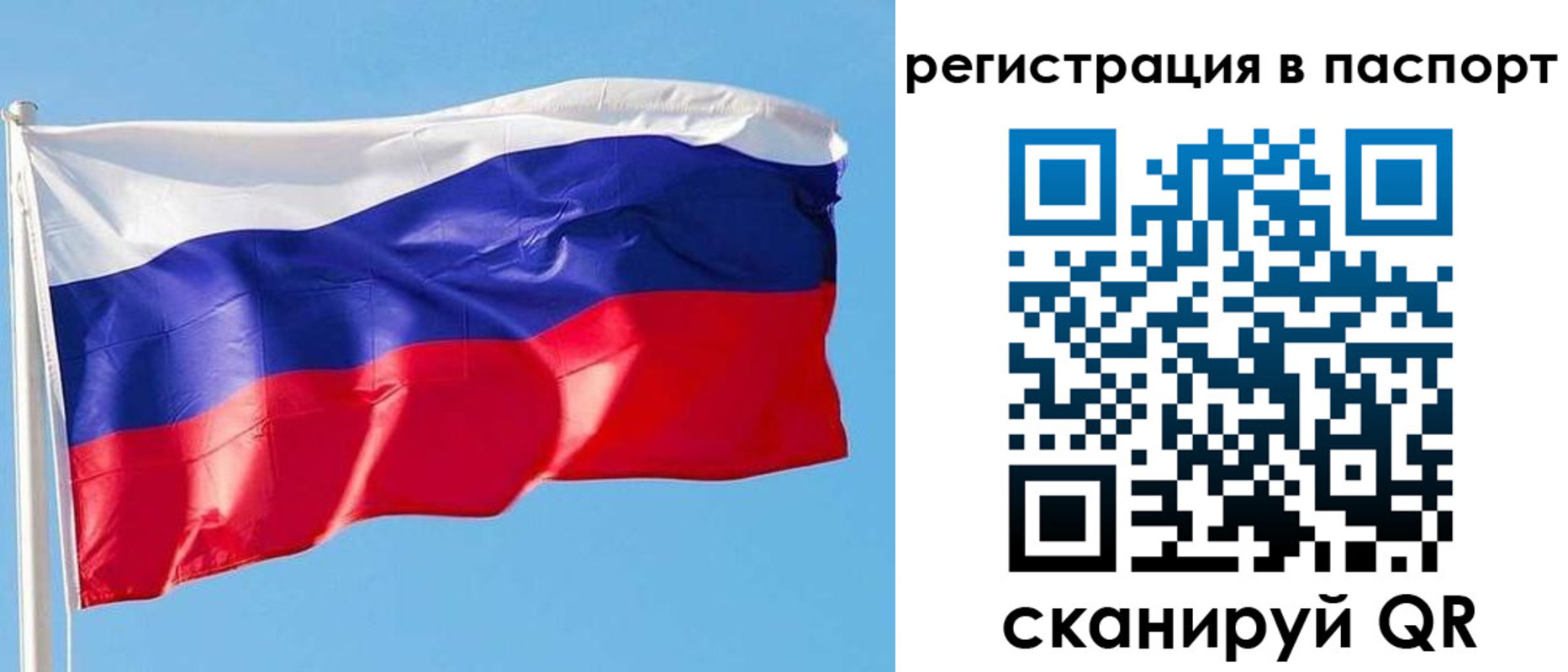 прописка законно в Невеле